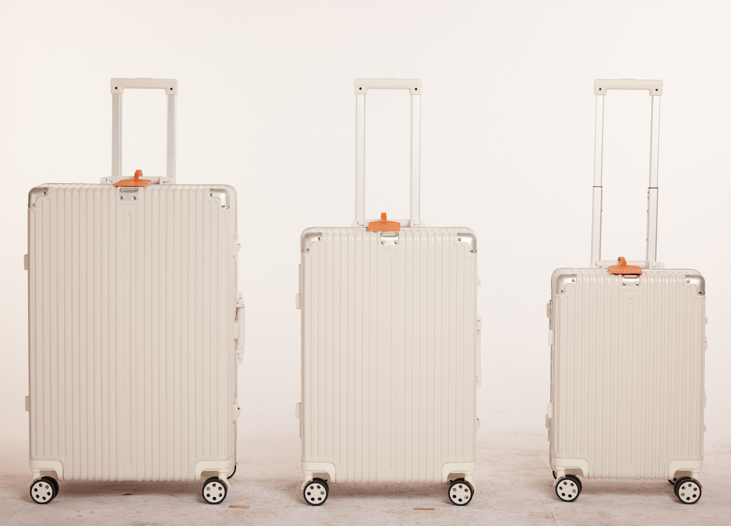 THE FLYON DISCOVERY TSA